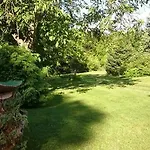 Nyugalomsziget Kotcse