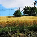 Nyugalomsziget Kotcse