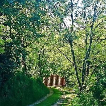 Nyugalomsziget Kötcse