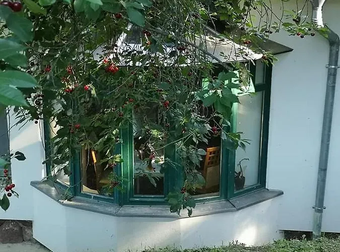 Nyugalomsziget *
