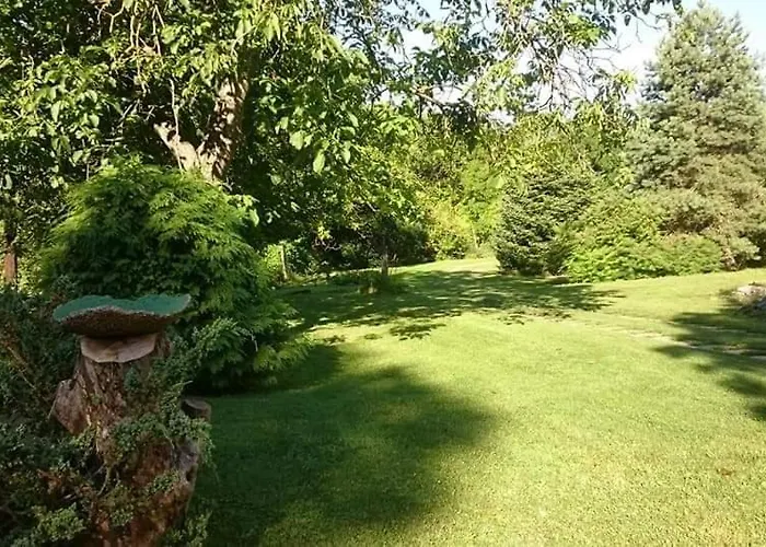 Nyugalomsziget Kotcse