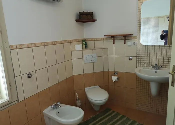 Nyugalomsziget Kotcse