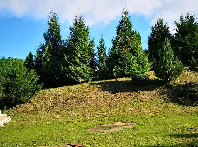 Nyugalomsziget Kotcse