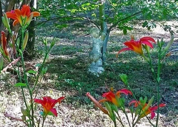 Nyugalomsziget Ferienhaus *