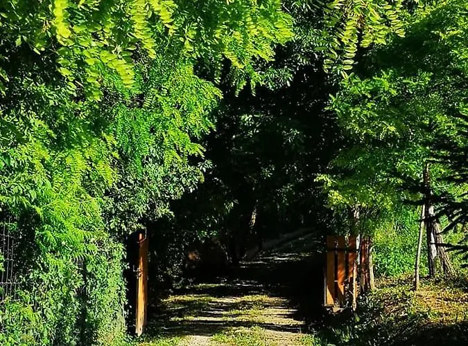 Ferienhaus Nyugalomsziget Kotcse