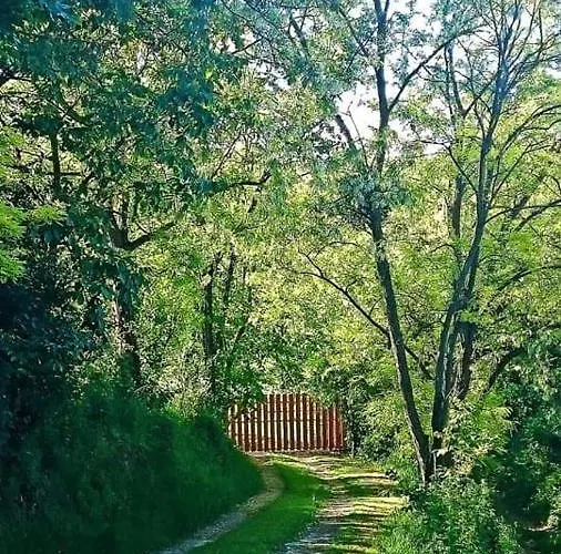 Nyugalomsziget Kotcse